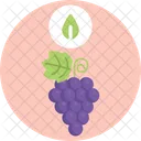 Uvas  Icon