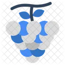 Uvas  Icon