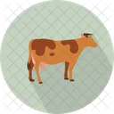 Vaca  Icono