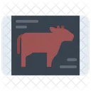 Vaca  Icono