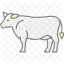 Vaca Alimentada Com Capim Icon