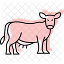 Vaca em grama orgânica  Ícone