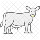 Vaca Na Grama Organica Vaca Organico Icon