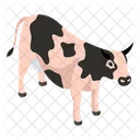 Vache  Icône