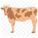 Vache Sacree Vache Bon Sang Icône