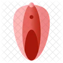 Vagina  Icon