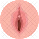 Human Anatomy Vagina Female Organ Icon
