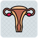 Vagina  Icon