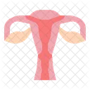 Vagina Icon
