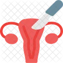 Vagina Female Organ Icon