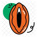 Vagina Icon