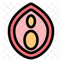Vagina Menses Venereal Icon