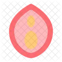 Vagina Menses Venereal Icon