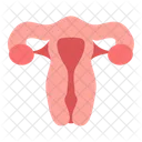 Internal Reproductive Human Icon