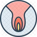 Vagina Hymen Sexual Icon