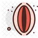 Vagina Organ Gynecology Icône