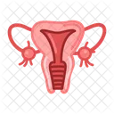 Vagina Medical Healthcare Icône