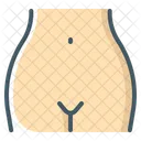 Vagina Female Pelvis Icône