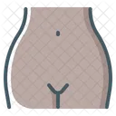 Vagina Female Pelvis Icône