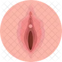 Human Anatomy Vagina Female Organ Icône
