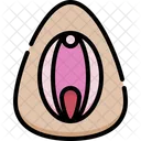 Vagina  Icône