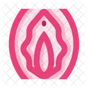 Anatomy Vagina Woman アイコン