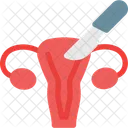 Vagina Female Organ Icône