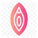 Vagina Vulva Healthcare アイコン