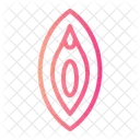 Vagina Vulva Healthcare アイコン