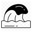  Icône