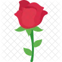Valentine Rose  Icon