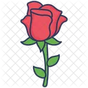 Valentine Rose  Icon