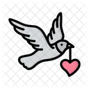 Valentines Dove Dove Bird Icon