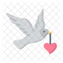 Valentines Dove Dove Bird Icon