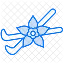 Vanila  Icon