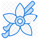 Vanilla  Icon