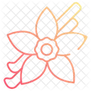Vanilla  Icon