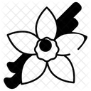 Vanilla  Icon