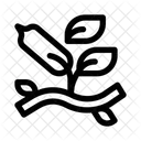 Vanilla leaf  Icon