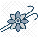 Vanillepflanze Blume Vanilleblute Symbol