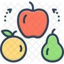 Variety of food  Icon