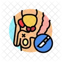 Vasectomy Urology Prostate Icon