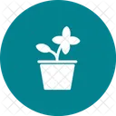 Vaso Di Fiori Icon