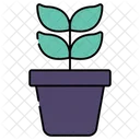 Vaso de flores  Icon