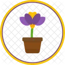 Vaso de flores  Icon