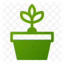 Vaso de planta  Icon