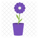 Fiore Vaso Pianta Icon