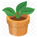 Vaso Pianta Foglie Icon