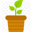 Vaso de plantas  Ícone