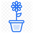 Vasos De Flores Vasos Plantas Icon